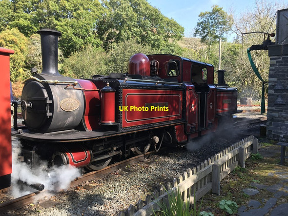 Photo 6"x4" Merddin Emrys Tan-y-bwlch\/SH6540 c2020