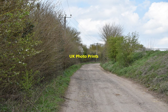 Photo 6"x4" Bury Water Lane (Byway) Newport\/TL5233 c2019
