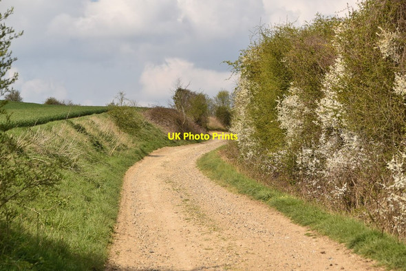 Photo 6"x4" Bury Water Lane (Byway) Newport\/TL5233 c2019 P1