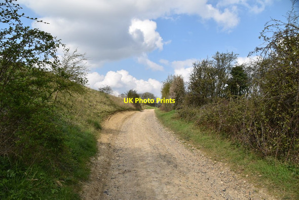 Photo 6"x4" Bury Water Lane (Byway) Newport\/TL5233 c2019 P2