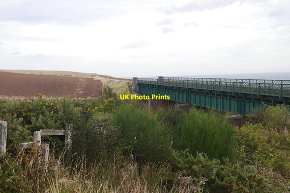 Photo 6"x4" Buckieden Viaduct Braehead of Lunan c2020 P1