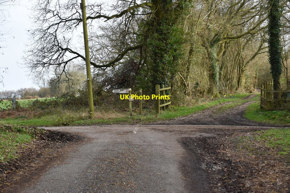 Photo 6"x4" Three lanes and a byway Hawkley\/SU7429 c2019