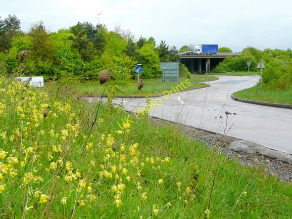 Photo 6"x4" Cowslips by the M5 Wellington\/ST1420 c2009