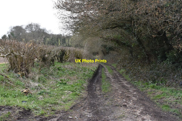 Photo 6"x4" Byway, Priors Dean Hawkley\/SU7429 c2019