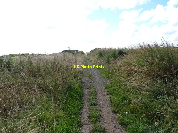 Photo 6"x4" Formartine and Buchan Way towards Lonmay Rathen c2020