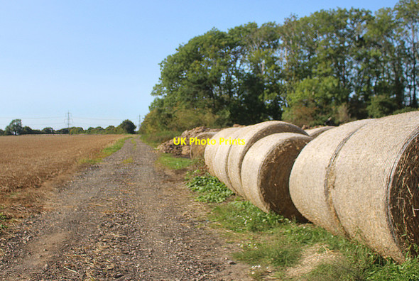 Photo 6"x4" Bridleway past Bales Broughton Poggs c2020