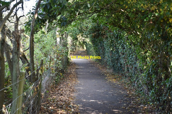 Photo 6"x4" Footpath by Maidstone Hospital Allington\/TQ7457 c2019 P1