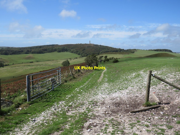 Photo 6"x4" South Dorset Ridgeway near Dorchester Coryates c2020 P2
