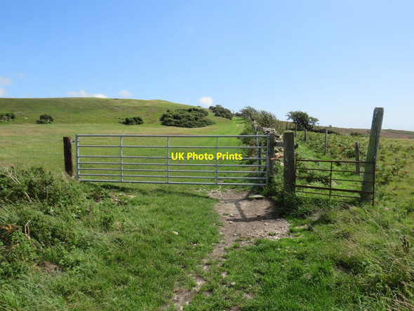 Photo 6"x4" South Dorset Ridgeway near Dorchester Coryates c2020