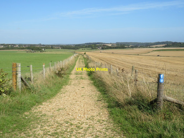 Photo 6"x4" Public bridleways near Dorchester Dorchester\/SY6890 c2020