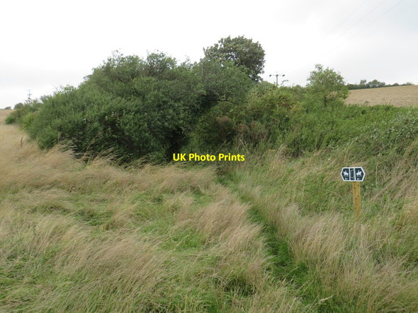 Photo 6"x4" Public bridleway, Tolpuddle Athelhampton c2020