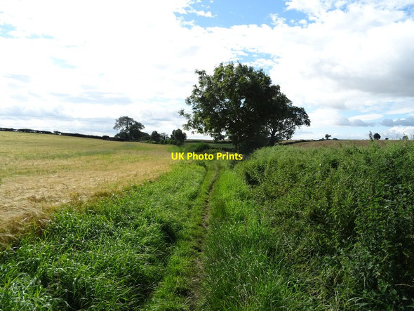 Photo 6"x4" Farm track (bridleway) towards Hornby Park East Appleton c2020
