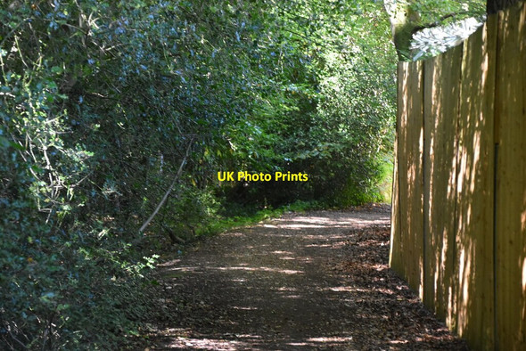 Photo 6"x4" Bridleway, Ninehams Wood Keston c2020 P1