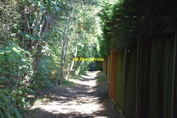 Photo 6"x4" Bridleway, Ninehams Wood Keston c2020 P2