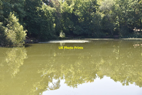Photo 6"x4" Keston Pond Keston c2020
