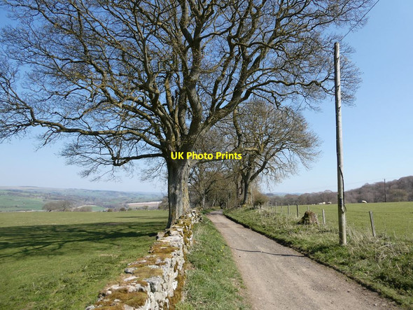 Photo 6"x4" Byway from Langley Castle to Elrington Haydon Bridge c2021