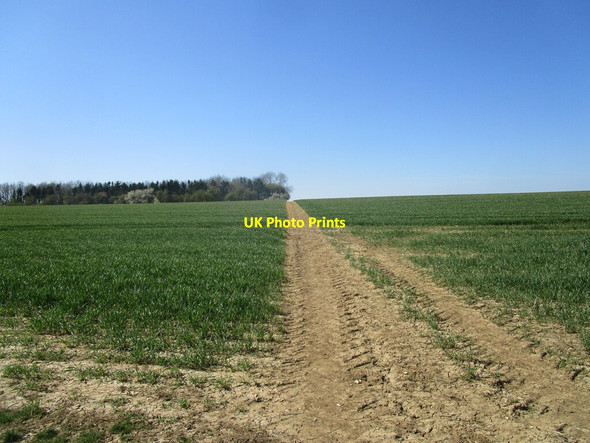 Photo 6"x4" Bridleway and Marriott's Spinney Wymondham\/SK8518 c2021
