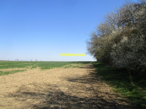 Photo 6"x4" Bridleway alongside Marriott's Spinney Wymondham\/SK8518 c2021