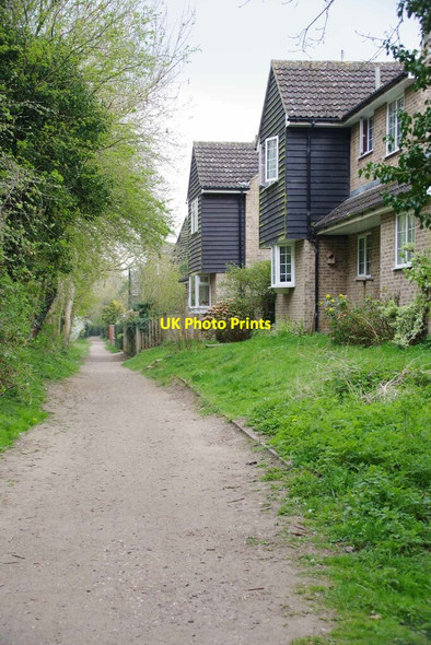 Photo 6"x4" The Rear of Crunch Croft Houses Calford Green c2021