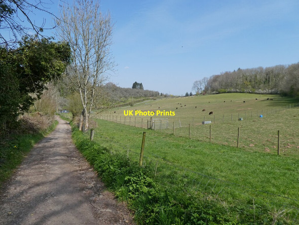 Photo 6"x4" Bridleway to Sandy Lane Abbots Leigh\/ST5473 c2021