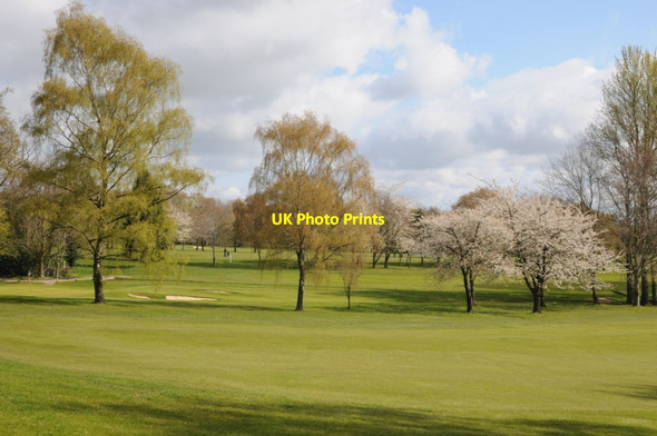 Photo 6"x4" Trees on the Worcestershire Golf Course Upper Wyche c2021