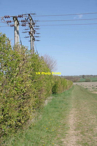 Photo 6"x4" Power Poles by the 67_2 Bridleway Hickford Hill c2021