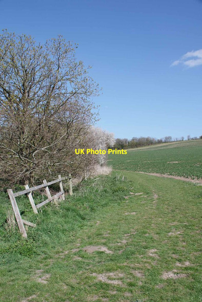 Photo 6"x4" Bridleway 102_27 Near Bowers Hall Cavendish c2021