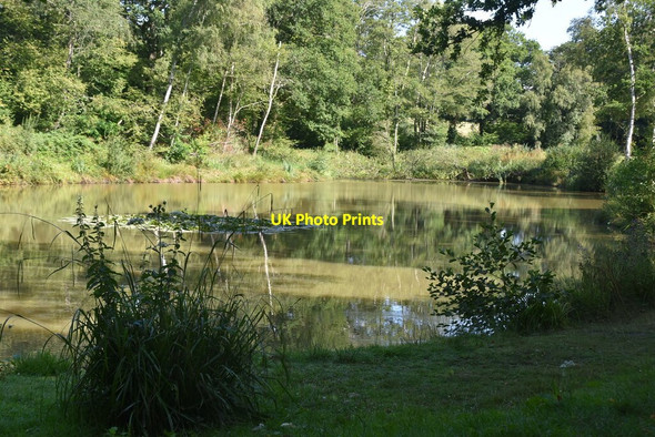Photo 6"x4" Pond #2, The Slade Cinder Hill\/TQ3729 c2020