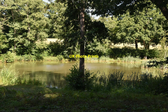 Photo 6"x4" Pond #3, The Slade Cinder Hill\/TQ3729 c2020
