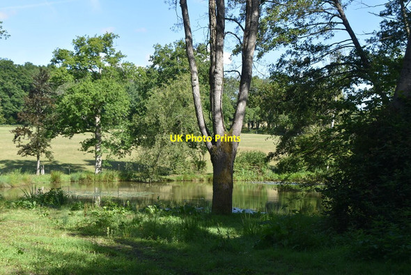 Photo 6"x4" Pond #4, The Slade Cinder Hill\/TQ3729 c2020