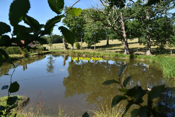 Photo 6"x4" Pond, Broadhurst Manor Cinder Hill\/TQ3729 c2020