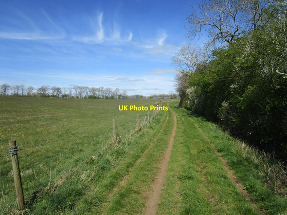 Photo 6"x4" Byway between Winwick and Cold Ashby Elkington c2021