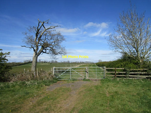 Photo 6"x4" Byway between Winwick and Cold Ashby Winwick\/SP6273 c2021