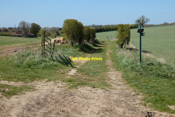 Photo 6"x4" Bridleway and farmland, Beedon Downend\/SU4775 c2021