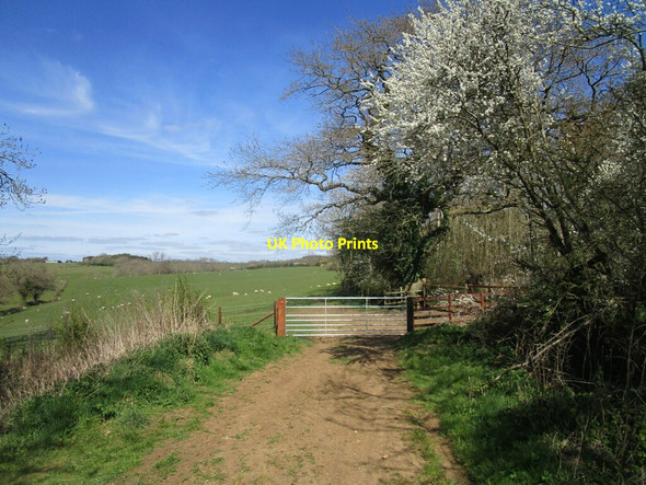 Photo 6"x4" New gate on a byway to Cold Ashby Cold Ashby c2021