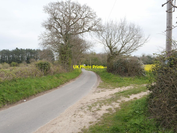 Photo 6"x4" East on Pond Road Antingham c2021