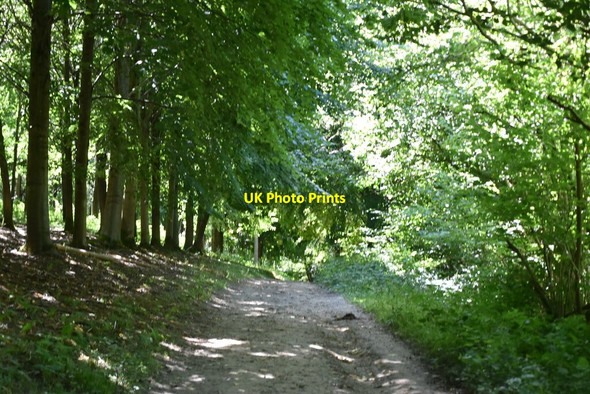 Photo 6"x4" Bridleway, Birchgrove Wood Birchgrove\/TQ4029 c2020