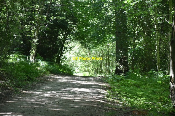Photo 6"x4" Bridleway, Birchgrove Wood Birchgrove\/TQ4029 c2020