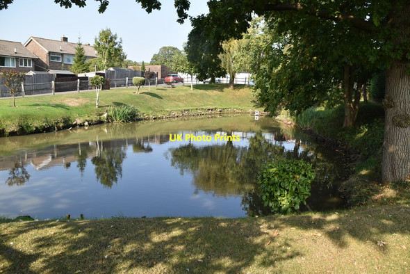 Photo 6"x4" Pond, Vines Cross Vines Cross c2020
