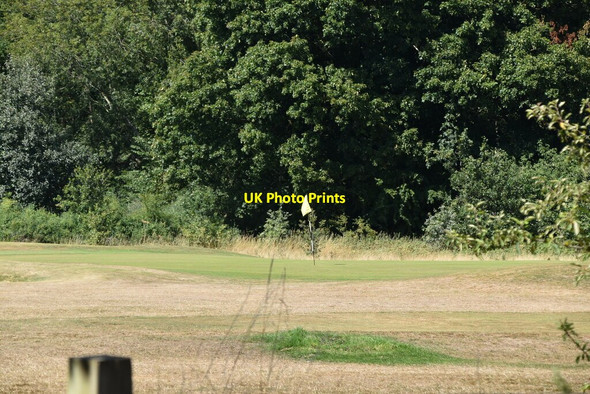 Photo 6"x4" High Elms Golf Course Orpington c2020