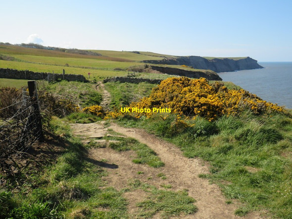 Photo 6"x4" Cleveland Way, near Hawsker High Hawsker c2021