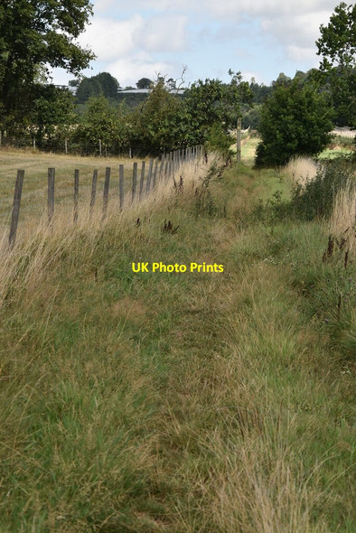 Photo 6"x4" Green lane \/ bridleway Lamb's Cross c2020