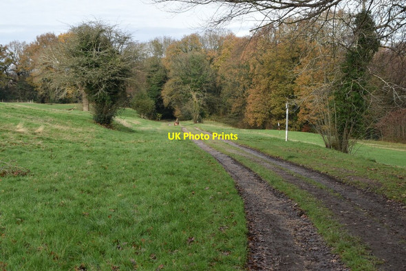 Photo 6"x4" Track across Spa Golf Course Royal Tunbridge Wells c2020