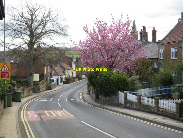 Photo 6"x4" Spring blossom in Ruswarp Whitby\/NZ8910 c2021