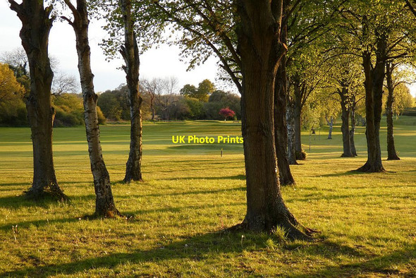 Photo 6"x4" Golf course, Harpsden Henley-on-Thames c2021