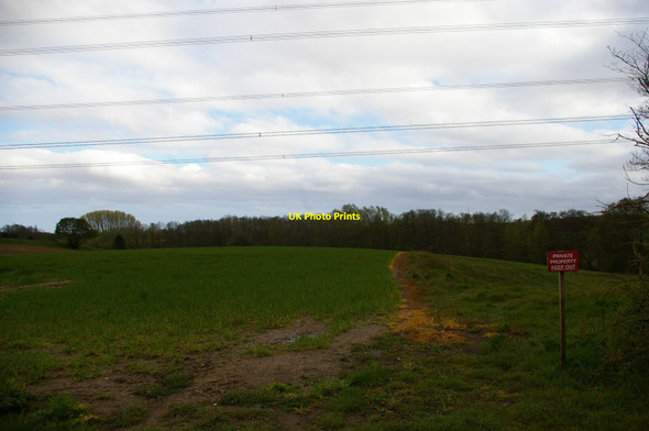 Photo 6"x4" Field south of Byng Lane, under the pylon lines Wickham Market c2021