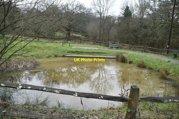 Photo 6"x4" Pond, Barnett's Wood Reserve High Brooms c2021