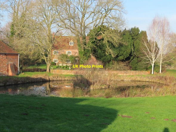 Photo 6"x4" Pond at Lollingdon Farm Cholsey c2019