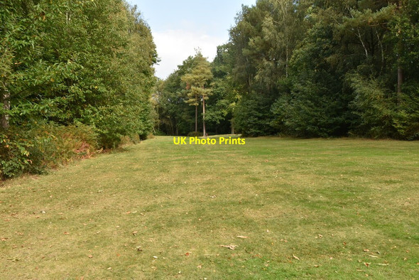 Photo 6"x4" Lingfield Park Golf Course Dormansland c2020 P1