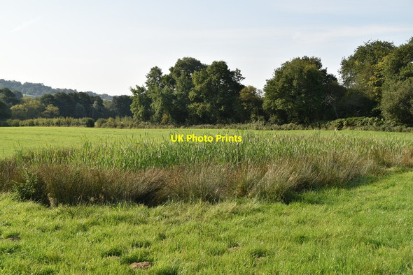 Photo 6"x4" A small pond High Hurstwood c2020